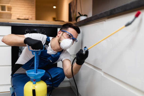 Best Wasp Removal Services  in Cherryvale, SC