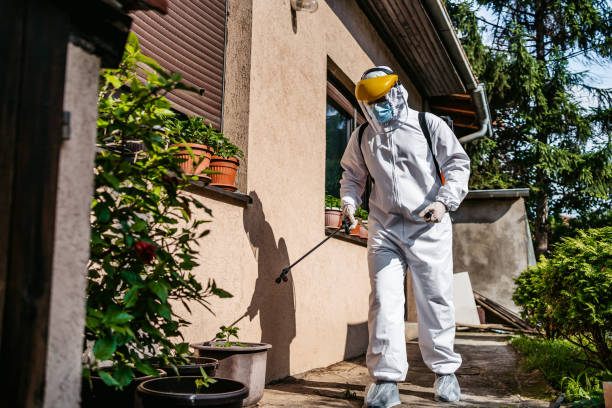 Best Mosquito Control Services  in Cherryvale, SC